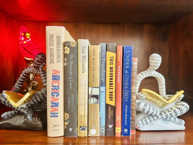 From Africa to the World: Nine Novels by African Women Writers that Inform